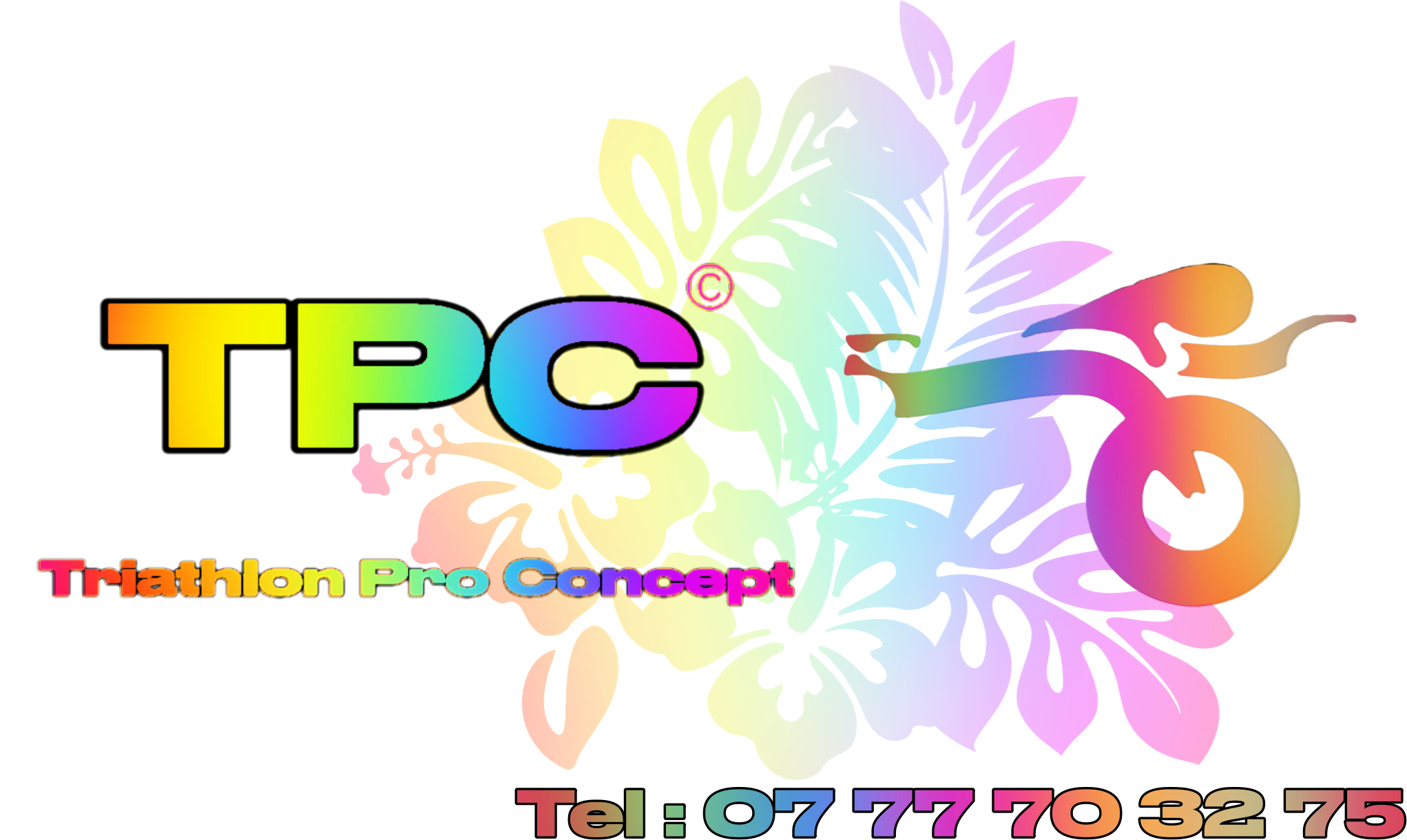 Triathlon Pro Concept